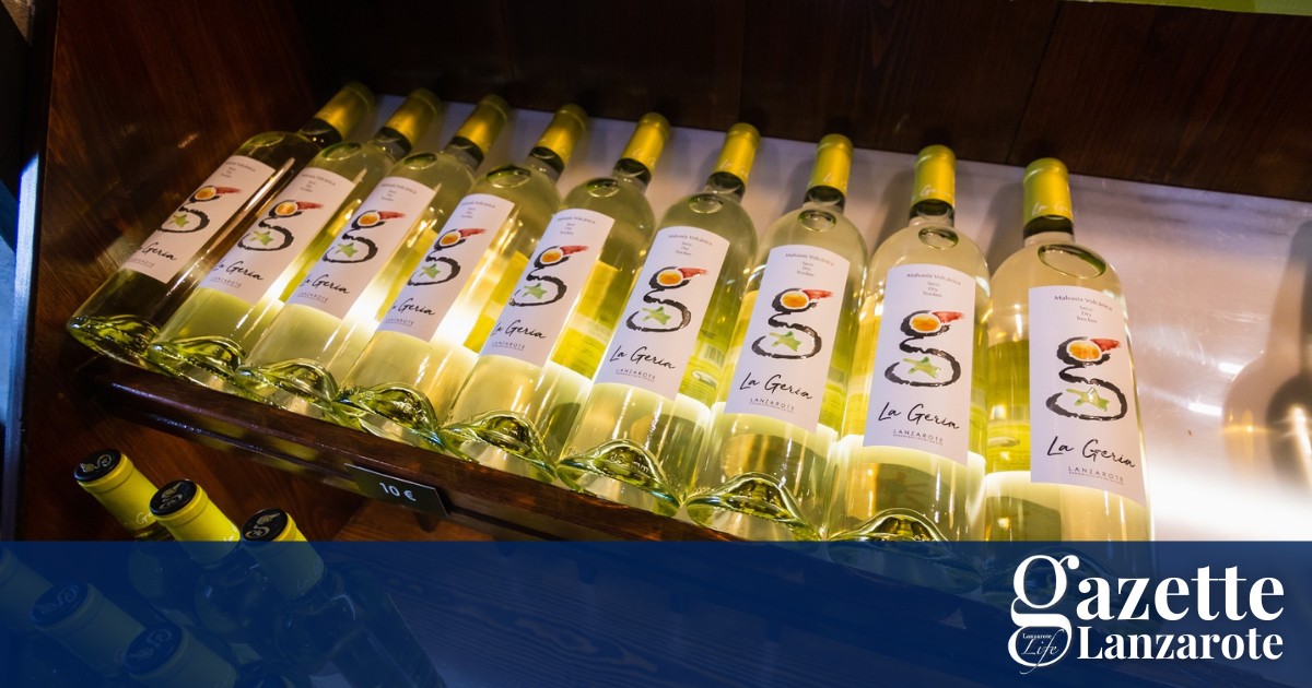 lanzarote-wine-harvest