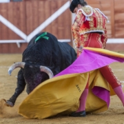 bullfighting-main