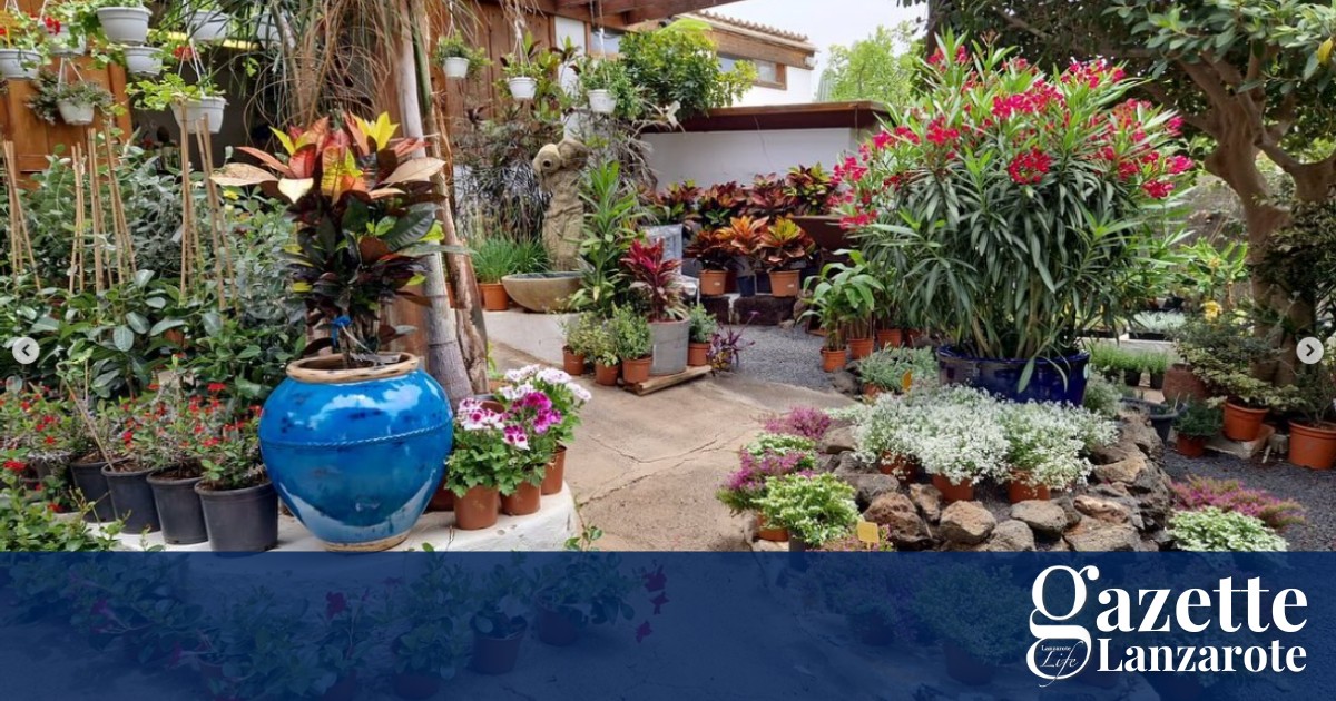 flower-power-garden-rescue