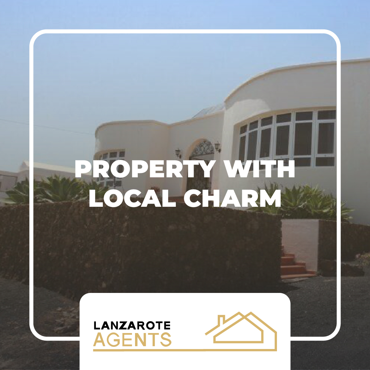 Lanzarote agents - Linea grafica-12