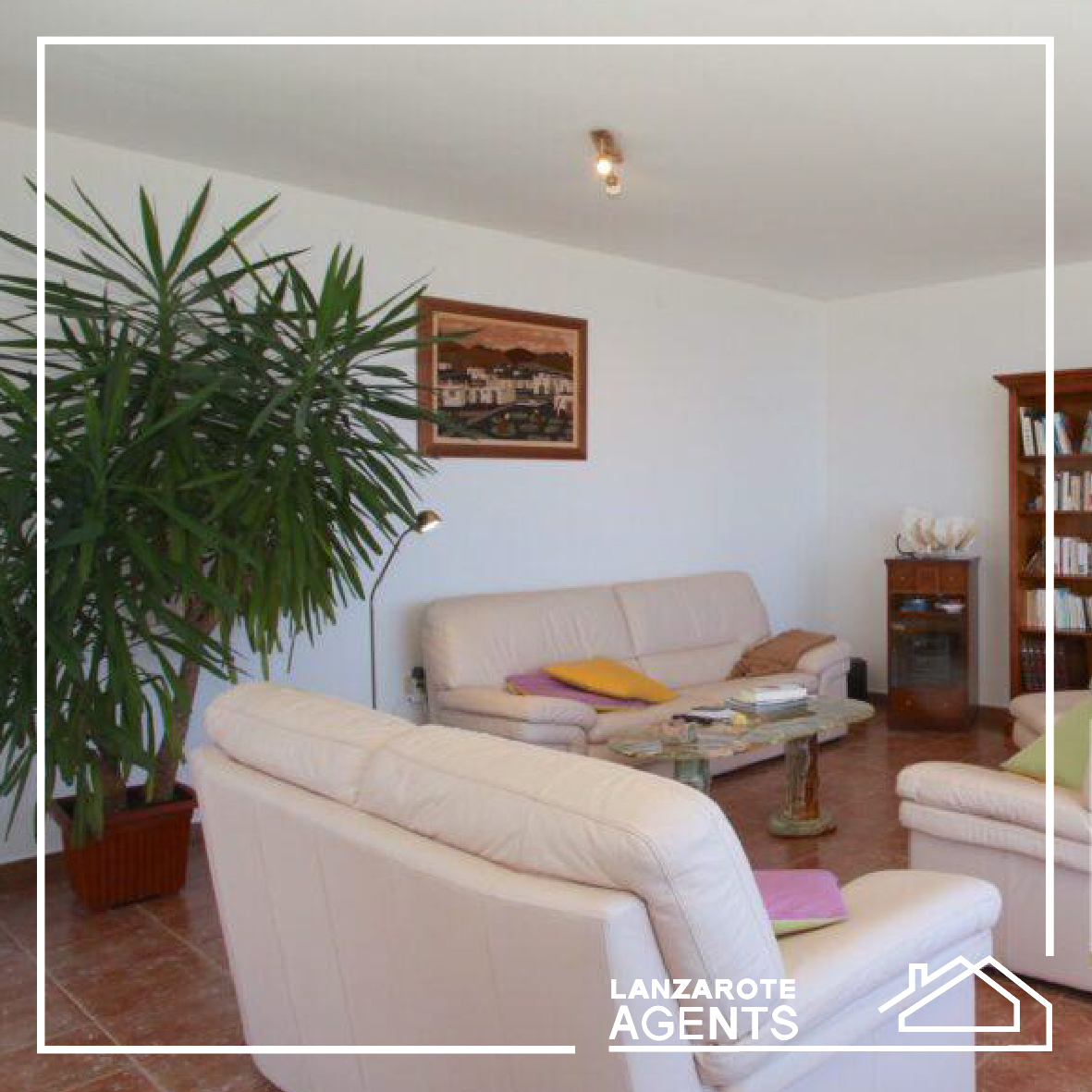 Lanzarote agents - Linea grafica-14