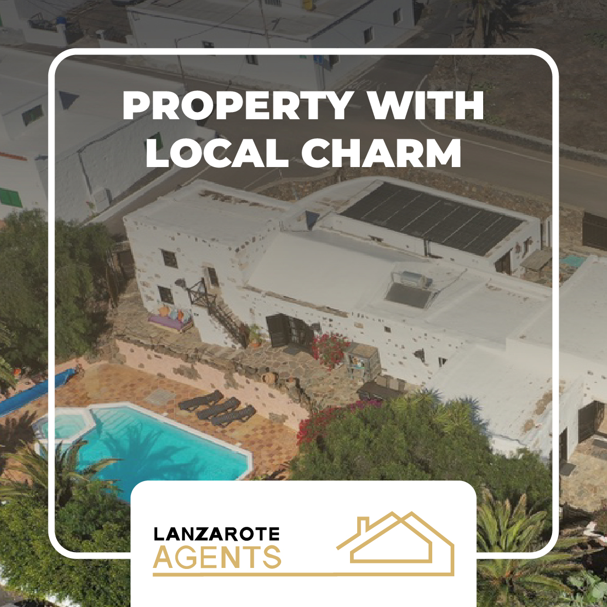 Lanzarote agents - Linea grafica-12