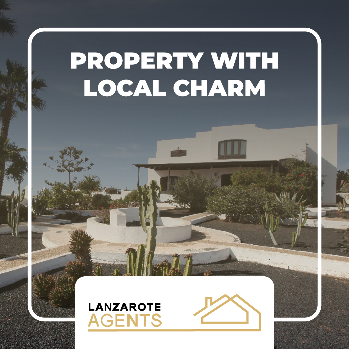 Lanzarote agents - Linea grafica-12