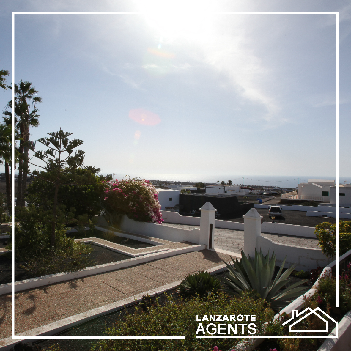 Lanzarote agents - Linea grafica-13