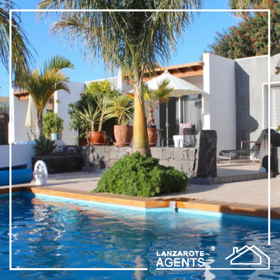 Lanzarote agents - Linea grafica-89