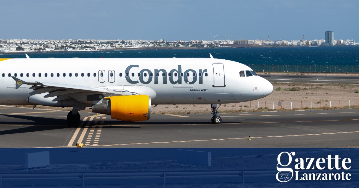 condor