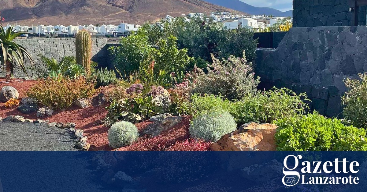 garden-inspiration
