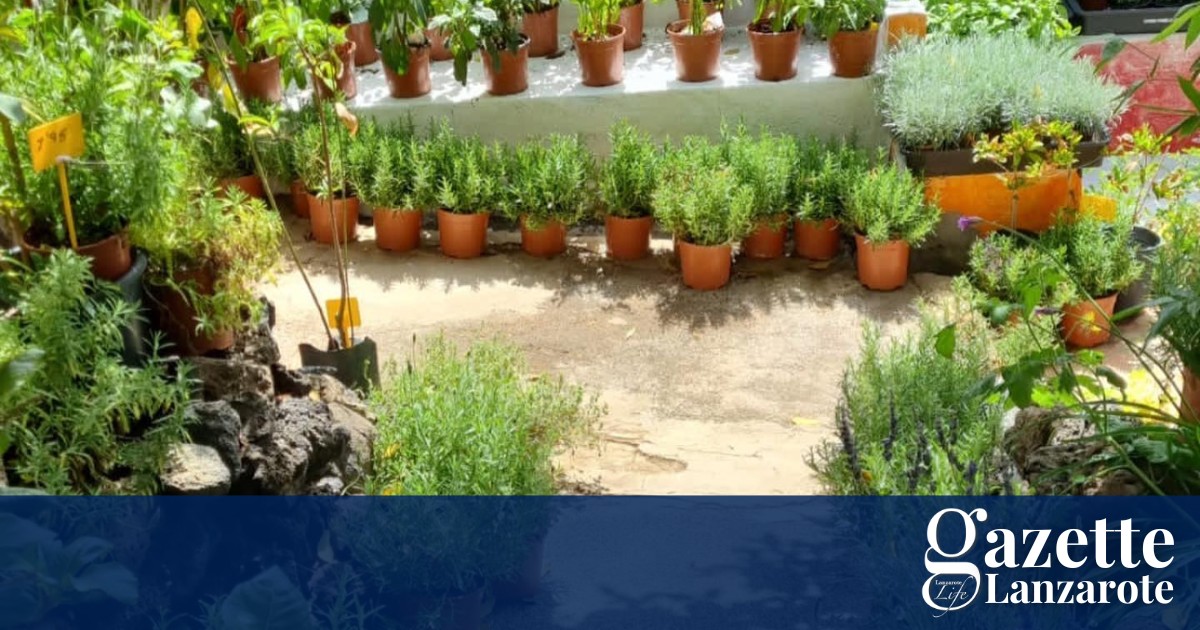 right-plants